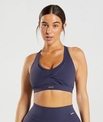 Sujetadores Deportivos Gymshark Whitney Mesh Mujer Indigo | CO 2125TCE